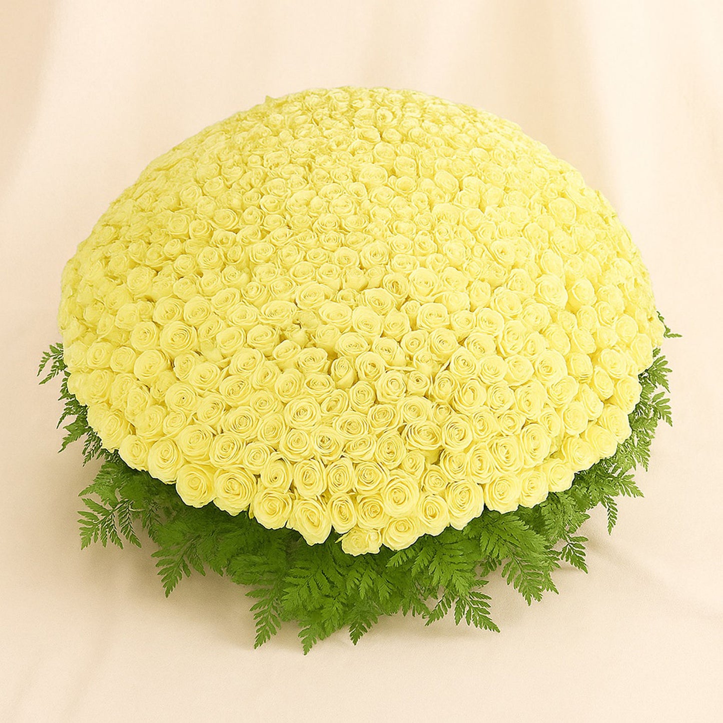 500 White Roses Arrangement