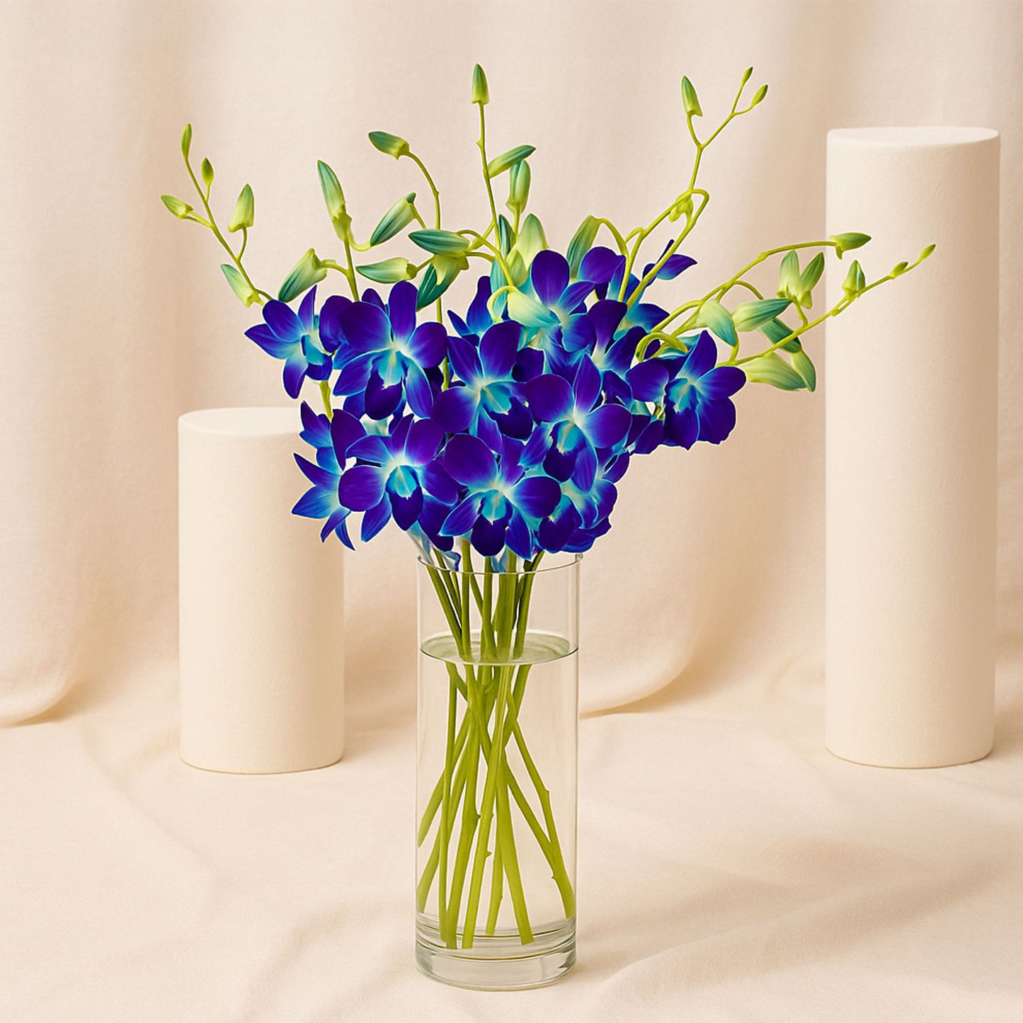 Mesmerizing Blue Orchids