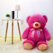 Adorable Pink Teddy