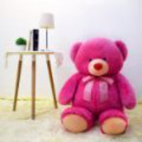 Adorable Pink Teddy