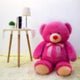 Adorable Pink Teddy