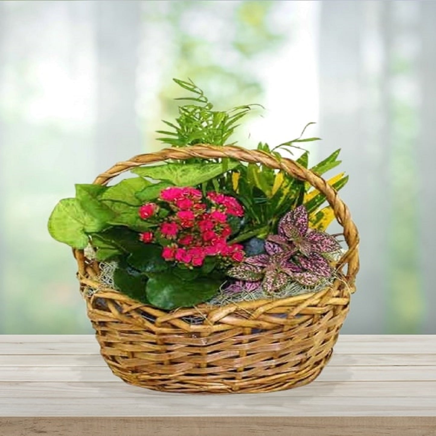 Blooming Dish Garden Basket