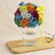 Colourful Baby Breath Cylindrical Vase