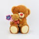 Duo Cute Teddy Bears