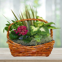 European Dish Garden Basket