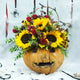 Evil Pumkin N Sunflowers