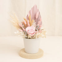 Graceful Pink Preserved Flower Vase