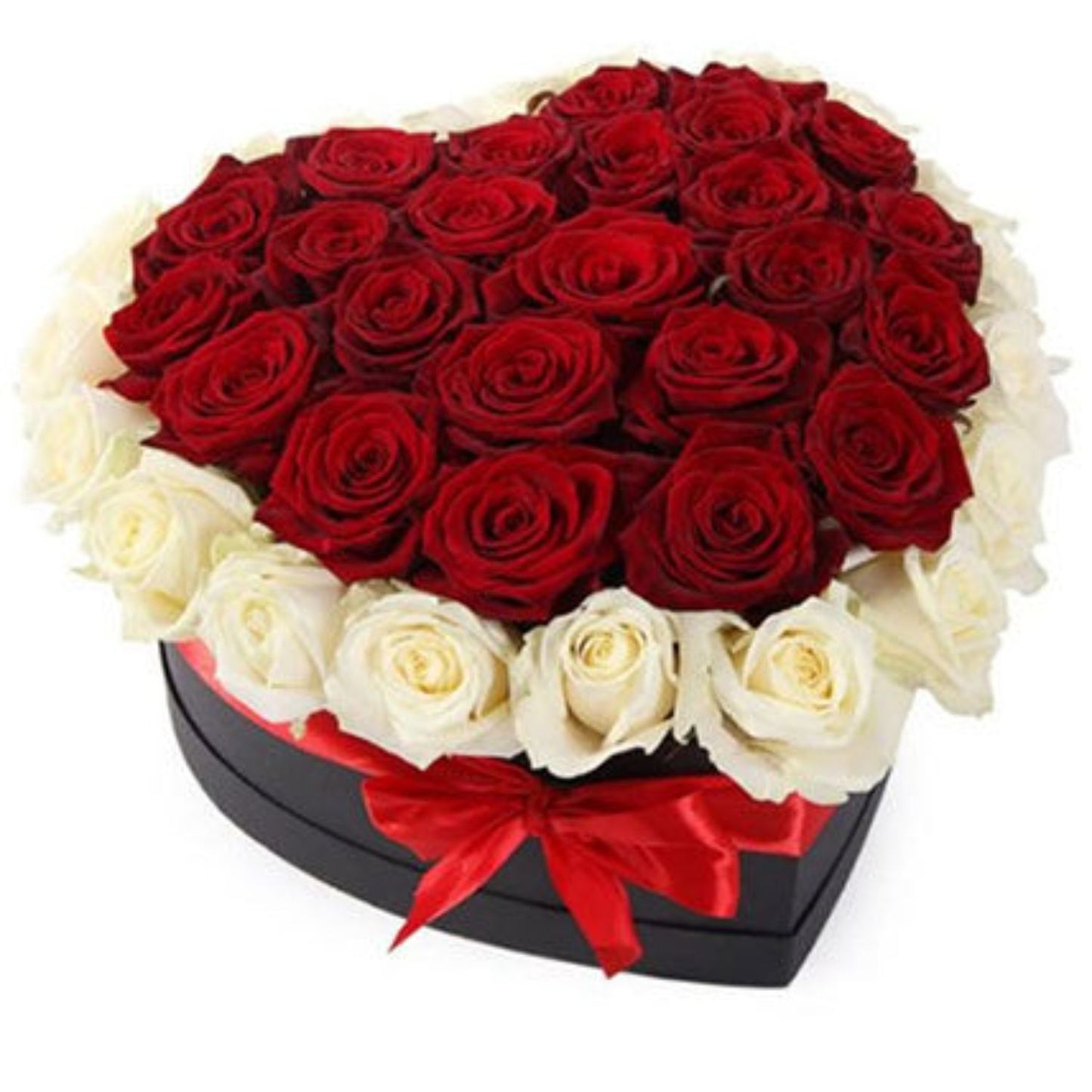 Passion And Elegance