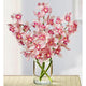 Pink Cymbidium Orchid