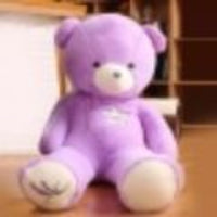 Purple Teddy Bear