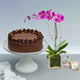 Walnut Chocolate Cake With Purple Orchid Plant